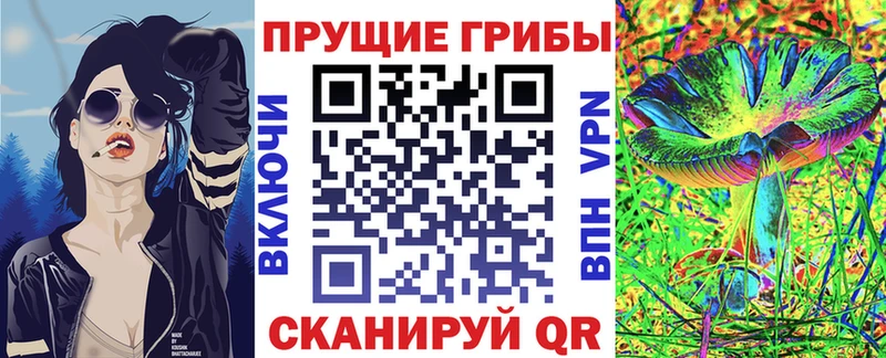 что такое   Томск  ссылка на мегу как войти  Галлюциногенные грибы GOLDEN TEACHER 